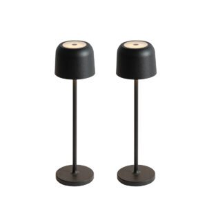 Set of 2 Mushroom Table Lamps Black Incl. Charging Station – Raika