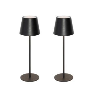 Set of 2 Table Lamps Black with Dimmer and Rechargeable – Murdock