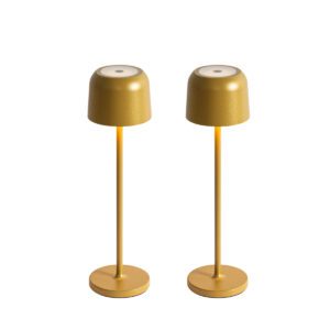 Set of 2 Table Lamps Mushroom Gold Incl. Charging Station – Raika