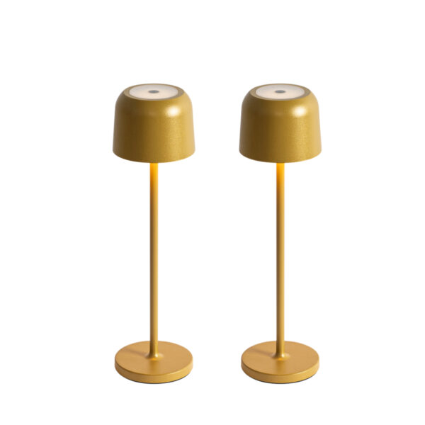 Set of 2 Table Lamps Mushroom Gold Incl. Charging Station - Raika